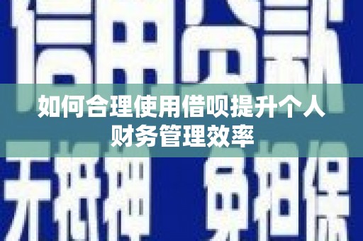 裕民如何合理使用借呗提升个人财务管理效率