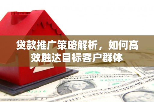 裕民贷款推广策略解析，如何高效触达目标客户群体
