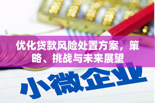 裕民优化贷款风险处置方案，策略、挑战与未来展望