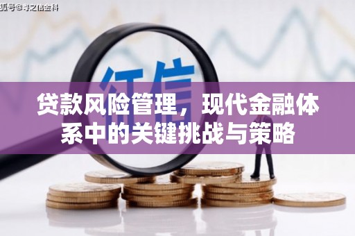 裕民贷款风险管理，现代金融体系中的关键挑战与策略