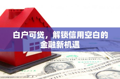 裕民白户可贷，解锁信用空白的金融新机遇