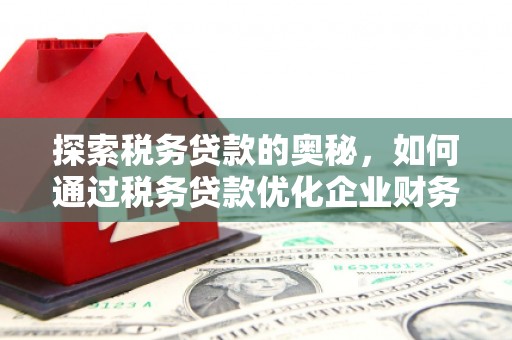 裕民探索税务贷款的奥秘，如何通过税务贷款优化企业财务