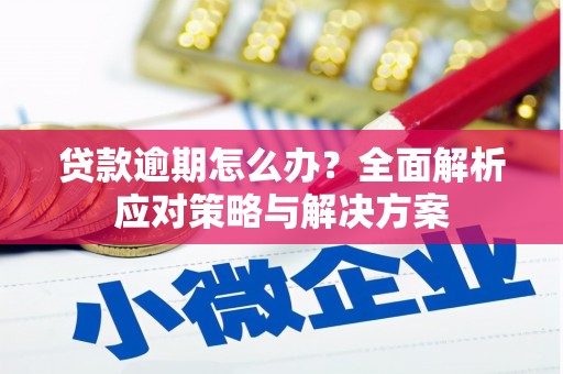 裕民贷款逾期怎么办？全面解析应对策略与解决方案