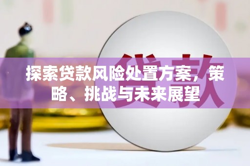 裕民探索贷款风险处置方案，策略、挑战与未来展望