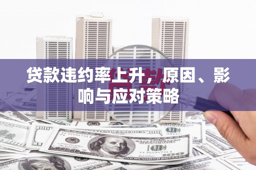 裕民贷款违约率上升，原因、影响与应对策略