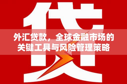 裕民外汇贷款，全球金融市场的关键工具与风险管理策略