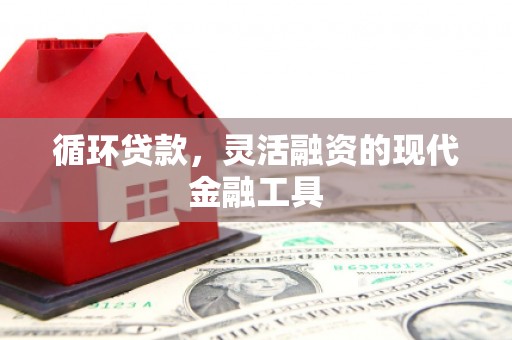 裕民循环贷款，灵活融资的现代金融工具