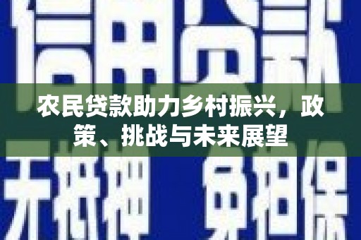 裕民农民贷款助力乡村振兴，政策、挑战与未来展望