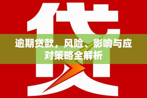 裕民逾期贷款，风险、影响与应对策略全解析