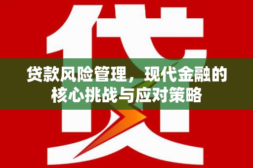 裕民贷款风险管理，现代金融的核心挑战与应对策略