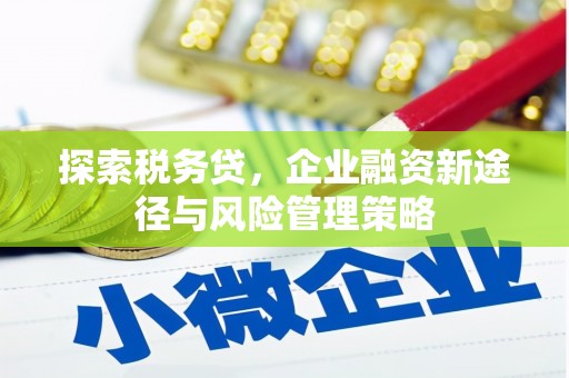 裕民探索税务贷，企业融资新途径与风险管理策略