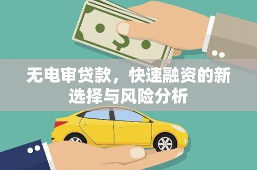 裕民无电审贷款，快速融资的新选择与风险分析