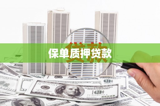 裕民保单质押贷款