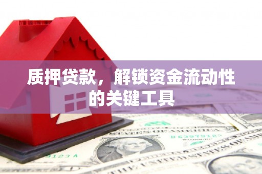 裕民质押贷款，解锁资金流动性的关键工具
