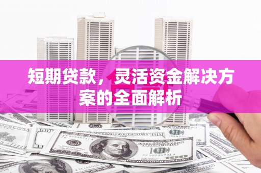裕民短期贷款，灵活资金解决方案的全面解析