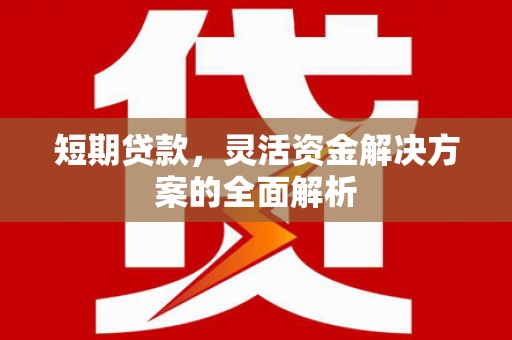 裕民短期贷款，灵活资金解决方案的全面解析