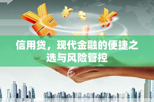 裕民信用贷，现代金融的便捷之选与风险管控