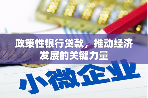 裕民政策性银行贷款，推动经济发展的关键力量