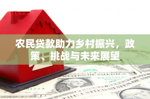 裕民农民贷款助力乡村振兴，政策、挑战与未来展望