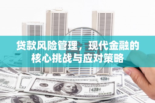 裕民贷款风险管理，现代金融的核心挑战与应对策略