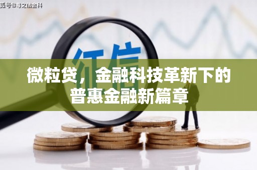 裕民微粒贷，金融科技革新下的普惠金融新篇章