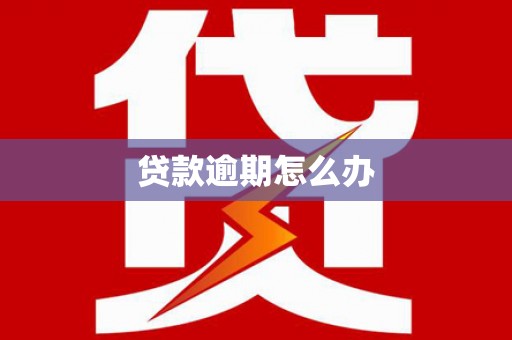 裕民贷款逾期怎么办