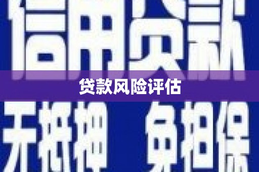 裕民贷款风险评估