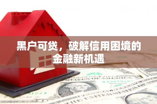 裕民黑户可贷，破解信用困境的金融新机遇