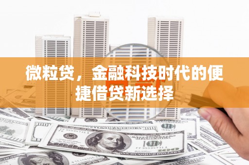 裕民微粒贷，金融科技时代的便捷借贷新选择