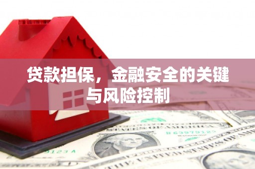 裕民贷款担保，金融安全的关键与风险控制