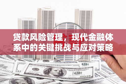 裕民贷款风险管理，现代金融体系中的关键挑战与应对策略