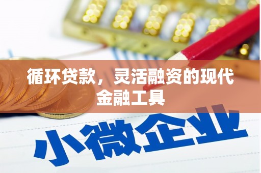 裕民循环贷款，灵活融资的现代金融工具