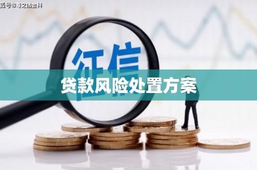 裕民贷款风险处置方案