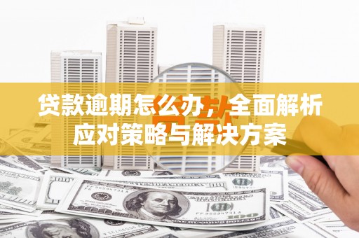 裕民贷款逾期怎么办，全面解析应对策略与解决方案