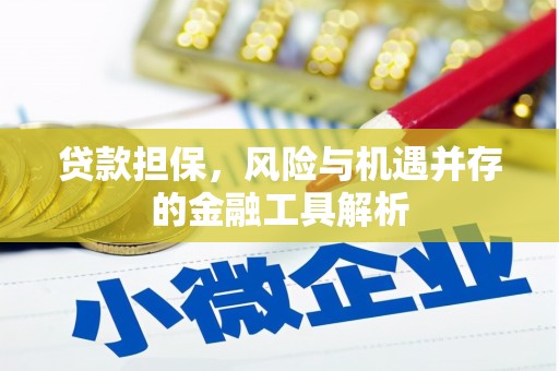 裕民贷款担保，风险与机遇并存的金融工具解析