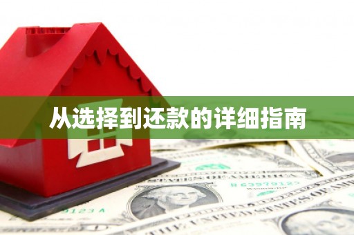 裕民从选择到还款的详细指南