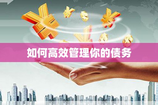 裕民如何高效管理你的债务