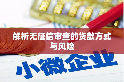 裕民解析无征信审查的贷款方式与风险