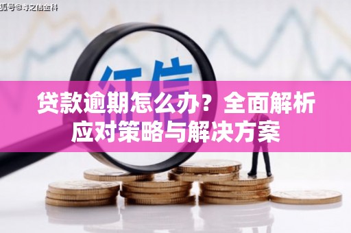 裕民贷款逾期怎么办？全面解析应对策略与解决方案