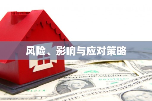 裕民风险、影响与应对策略