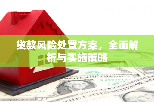 裕民贷款风险处置方案，全面解析与实施策略