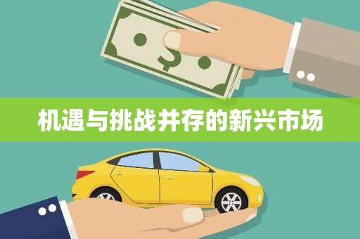裕民机遇与挑战并存的新兴市场