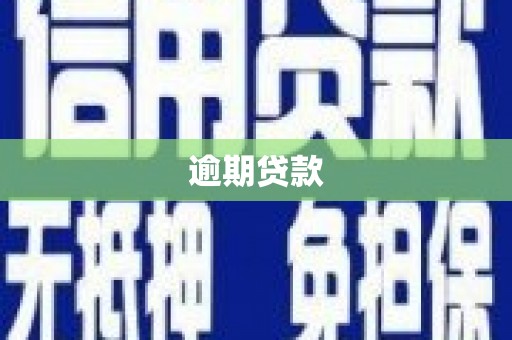 裕民逾期贷款
