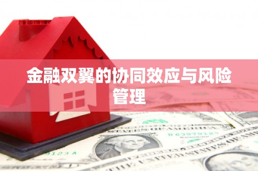 裕民金融双翼的协同效应与风险管理