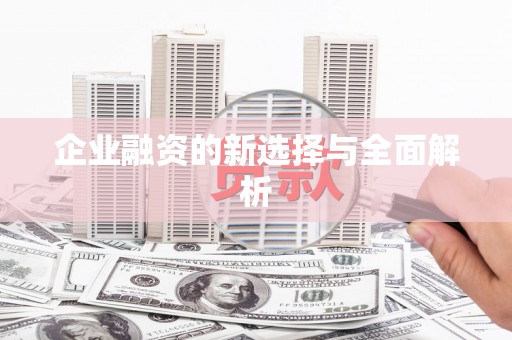 裕民企业融资的新选择与全面解析