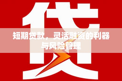 裕民短期贷款，灵活融资的利器与风险管理