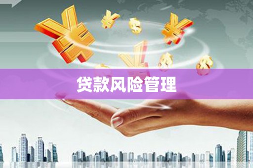裕民贷款风险管理
