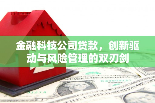 裕民金融科技公司贷款，创新驱动与风险管理的双刃剑